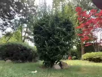 patry333 live cam